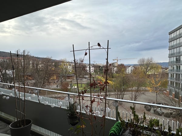 1½ ZI-WOHNUNG IN ZÜRICH - KREIS 9 ALBISRIEDEN, MÖBLIERT, TEMPORÄR 10