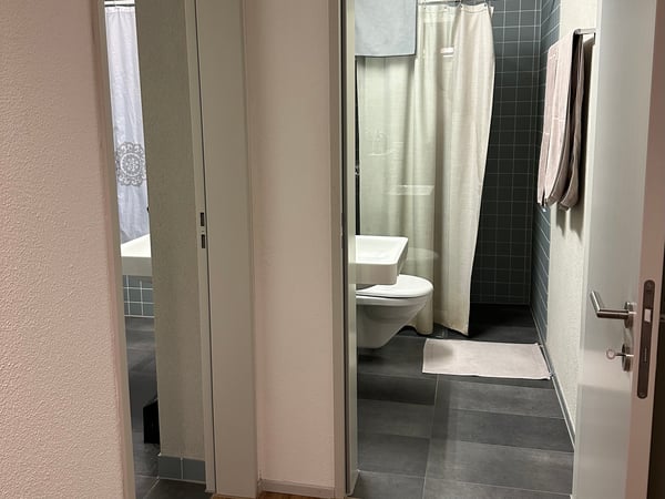 1½ ZI-WOHNUNG IN ZÜRICH - KREIS 9 ALBISRIEDEN, MÖBLIERT, TEMPORÄR 6