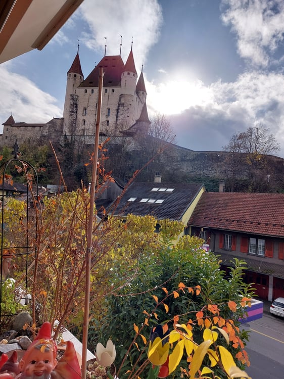2 ZI-WOHNUNG IN THUN (BE), MÖBLIERT, TEMPORÄR 6