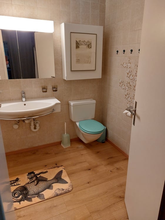 2 ZI-WOHNUNG IN THUN (BE), MÖBLIERT, TEMPORÄR 4