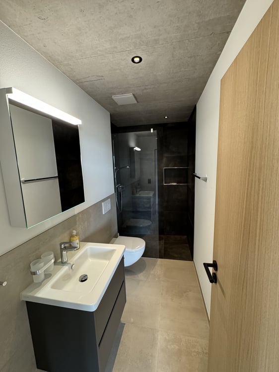 1 ZI-WOHNUNG IN ERMATINGEN (TG), MÖBLIERT, TEMPORÄR 7