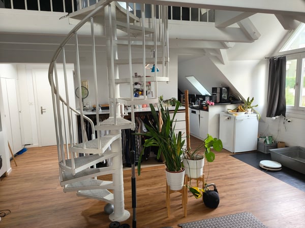 1 ZI-WOHNUNG IN ZÜRICH - KREIS 10 HÖNGG, MÖBLIERT, TEMPORÄR 5