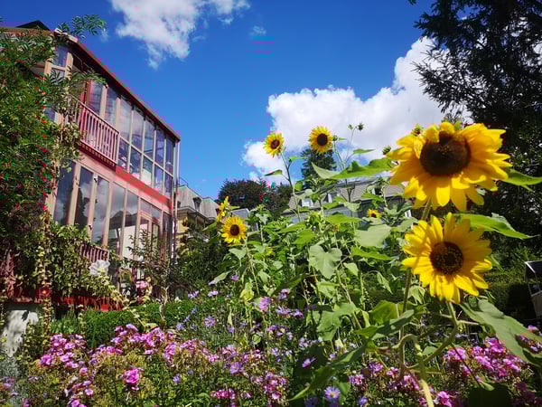 1 ZI-WOHNUNG IN ZÜRICH - KREIS 7 FLUNTERN, MÖBLIERT, TEMPORÄR 7