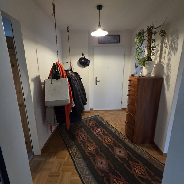 1 ZI-WOHNUNG IN DÜBENDORF (ZH), MÖBLIERT, TEMPORÄR 3