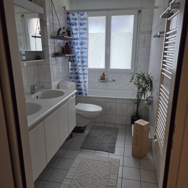 1 ZI-WOHNUNG IN DÜBENDORF (ZH), MÖBLIERT, TEMPORÄR 9