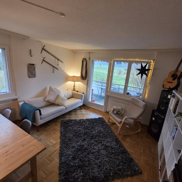 1 ZI-WOHNUNG IN DÜBENDORF (ZH), MÖBLIERT, TEMPORÄR 1