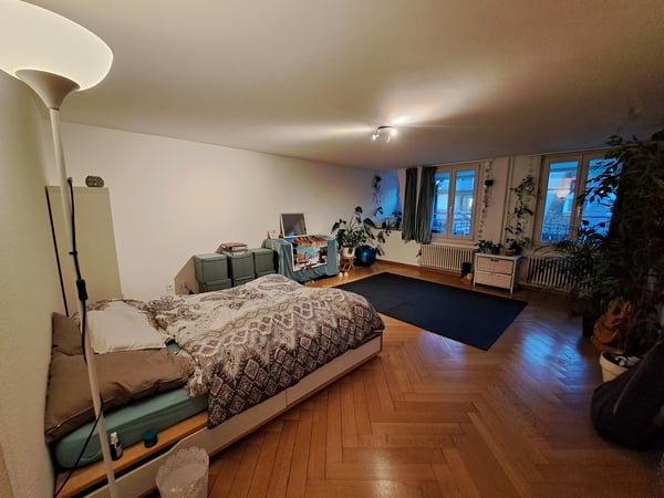 1 ZI-WOHNUNG IN BERN - ALTSTADT, MÖBLIERT, TEMPORÄR 8