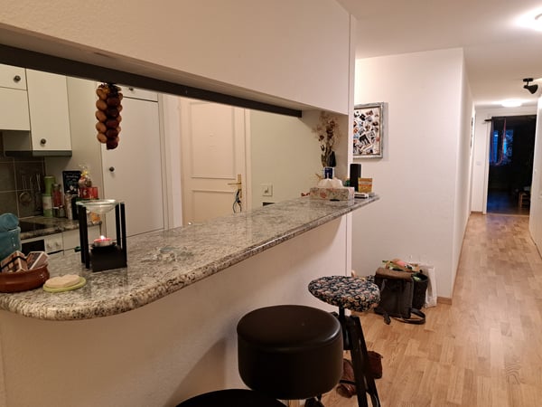 1 ZI-WOHNUNG IN BERN - ALTSTADT, MÖBLIERT, TEMPORÄR 6