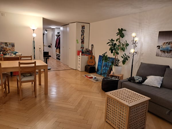 1 ZI-WOHNUNG IN BERN - ALTSTADT, MÖBLIERT, TEMPORÄR 3