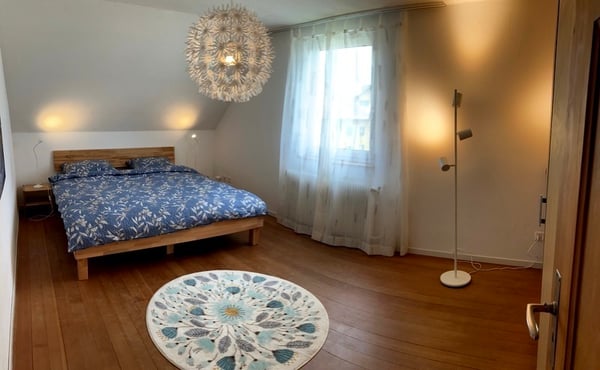 1½ ZI-WOHNUNG IN BASSERSDORF (ZH), MÖBLIERT, TEMPORÄR 4