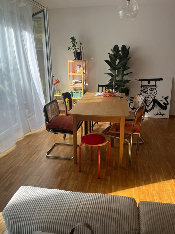 1½ ZI-WOHNUNG IN ZÜRICH - KREIS 3 BINZ, MÖBLIERT, TEMPORÄR 3