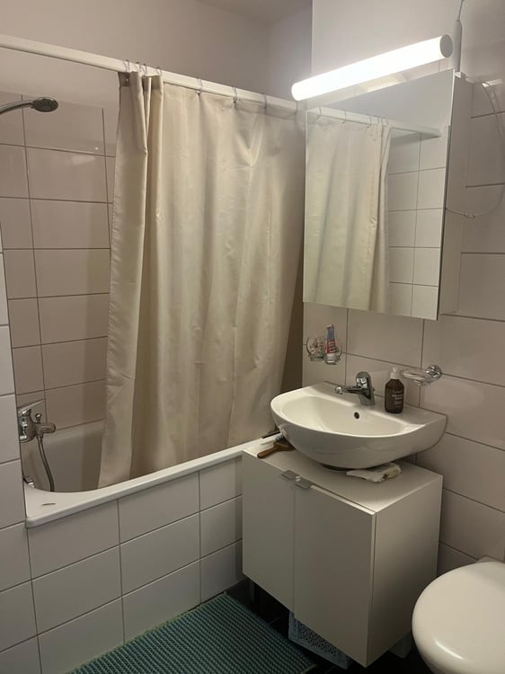 1½ ZI-WOHNUNG IN ZÜRICH - KREIS 3 BINZ, MÖBLIERT, TEMPORÄR 7