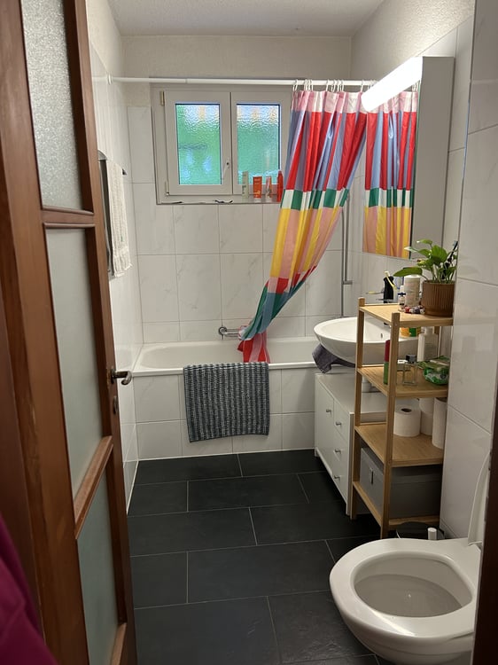 2½ ZI-WOHNUNG IN ZÜRICH - KREIS 22 AFFOLTERN, MÖBLIERT, TEMPORÄR 5