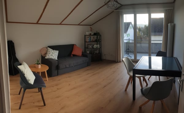 1 ZI-WOHNUNG IN WINTERTHUR - OBERWINTERTHUR, MÖBLIERT, TEMPORÄR 1