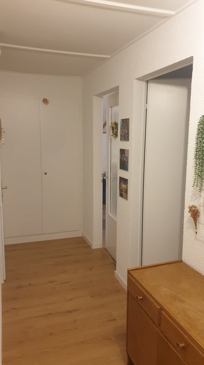 1 ZI-WOHNUNG IN WINTERTHUR - OBERWINTERTHUR, MÖBLIERT, TEMPORÄR 7