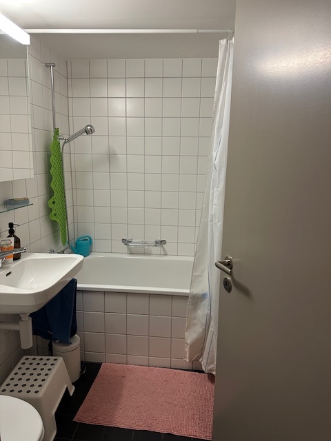 1½ ZI-WOHNUNG IN ZÜRICH, MÖBLIERT, TEMPORÄR 9