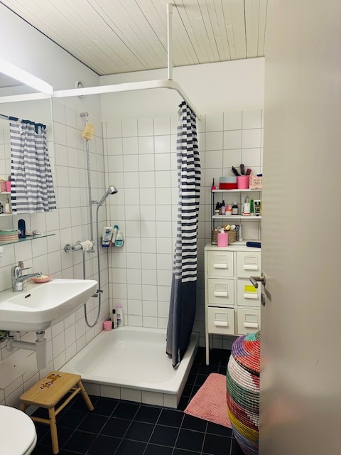 1½ ZI-WOHNUNG IN ZÜRICH, MÖBLIERT, TEMPORÄR 8