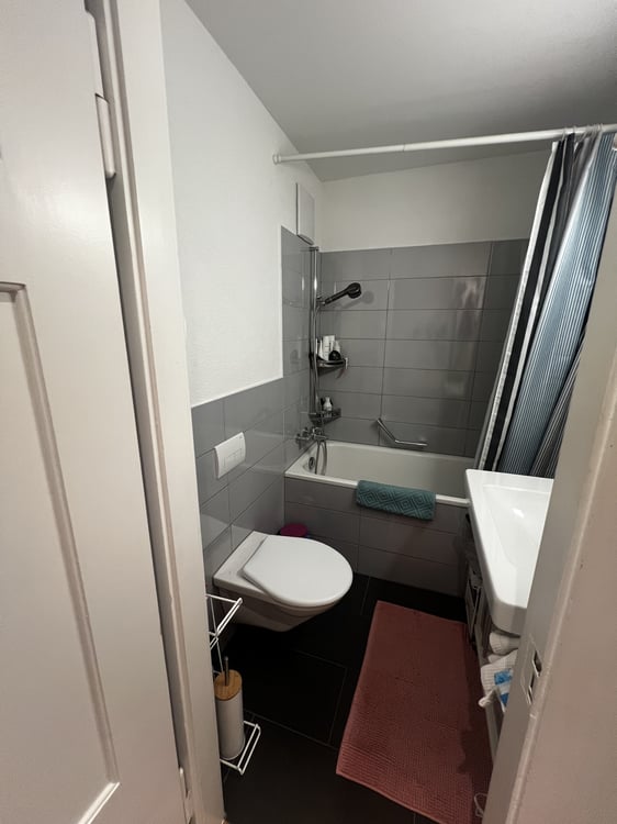 1½ ZI-WOHNUNG IN ZÜRICH - KREIS 7 HOTTINGEN, MÖBLIERT, TEMPORÄR 8