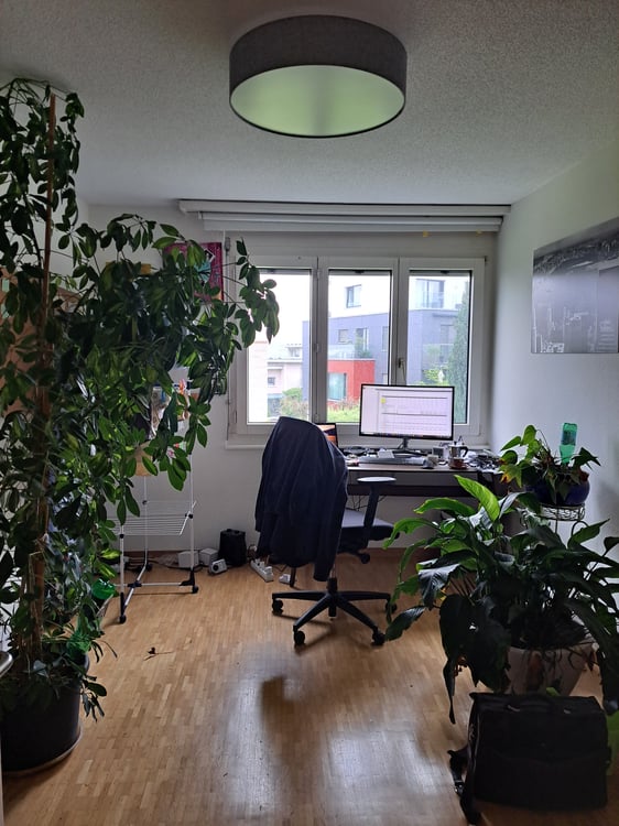 1½ ZI-WOHNUNG IN HORGEN (ZH), MÖBLIERT, TEMPORÄR 5