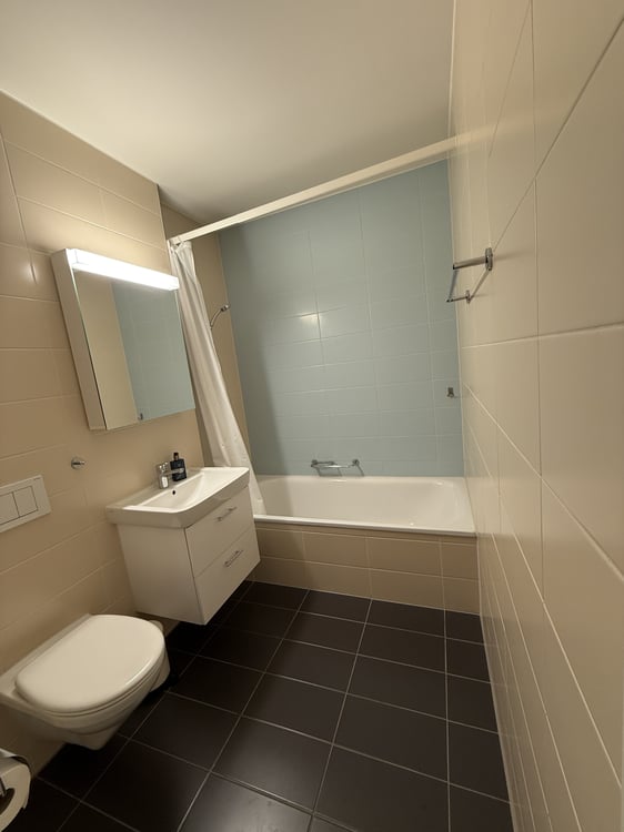 1½ ZI-WOHNUNG IN BADEN (AG), MÖBLIERT, TEMPORÄR 7