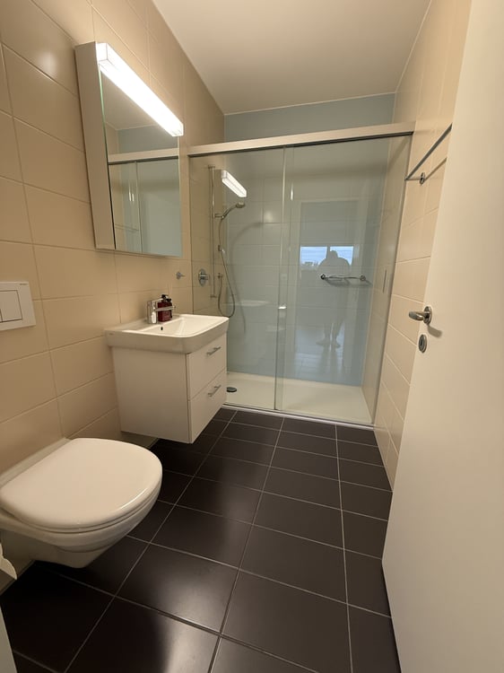 1½ ZI-WOHNUNG IN BADEN (AG), MÖBLIERT, TEMPORÄR 8