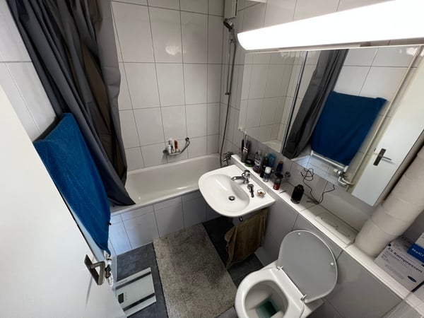 2½ ZI-WOHNUNG IN ZÜRICH - KREIS 9 ALBISRIEDEN, MÖBLIERT, TEMPORÄR 6