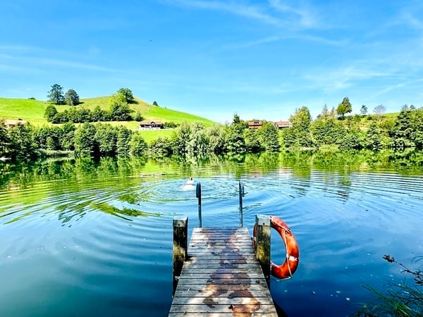 1½ ZIMMER-HAUS IN MENZINGEN (ZG), MÖBLIERT, TEMPORÄR 10