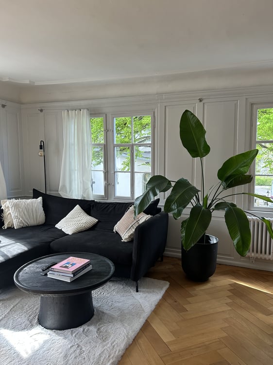 1½ ZI-WOHNUNG IN ST. GALLEN - INNENSTADT, MÖBLIERT, TEMPORÄR 1