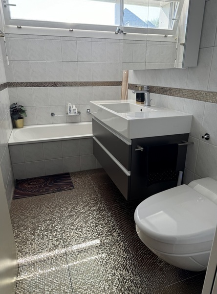 1½ ZI-WOHNUNG IN RAPPERSWIL (SG), MÖBLIERT, TEMPORÄR 9