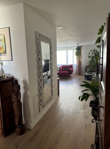 1½ ZI-WOHNUNG IN RAPPERSWIL (SG), MÖBLIERT, TEMPORÄR 6