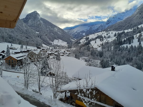 1½ ZIMMER-DACHWOHNUNG IN KIENTAL (BE), MÖBLIERT, TEMPORÄR 10