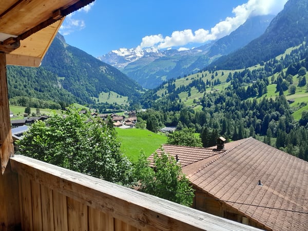 1½ ZIMMER-DACHWOHNUNG IN KIENTAL (BE), MÖBLIERT, TEMPORÄR 7