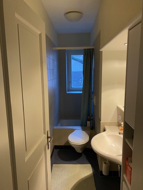 1 ZI-WOHNUNG IN ZÜRICH - KREIS 1 WIEDIKON, MÖBLIERT, TEMPORÄR 5