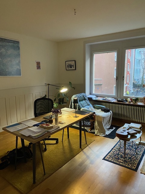 1 ZI-WOHNUNG IN ZÜRICH - KREIS 1 WIEDIKON, MÖBLIERT, TEMPORÄR 1