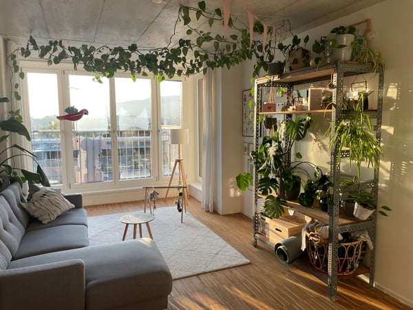 Vorschaubild der Immobilie