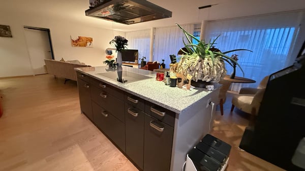 1½ ZI-WOHNUNG IN TÄGERWILEN (TG), MÖBLIERT, TEMPORÄR 4