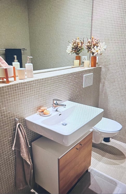 1½ ZI-WOHNUNG IN ALLSCHWIL (BL), MÖBLIERT, TEMPORÄR 5