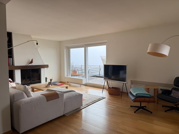 1½ ZI-WOHNUNG IN ZÜRICH - KREIS 10 HÖNGG, MÖBLIERT, TEMPORÄR 1