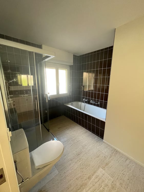 1½ ZI-WOHNUNG IN ZÜRICH - KREIS 10 HÖNGG, MÖBLIERT, TEMPORÄR 10