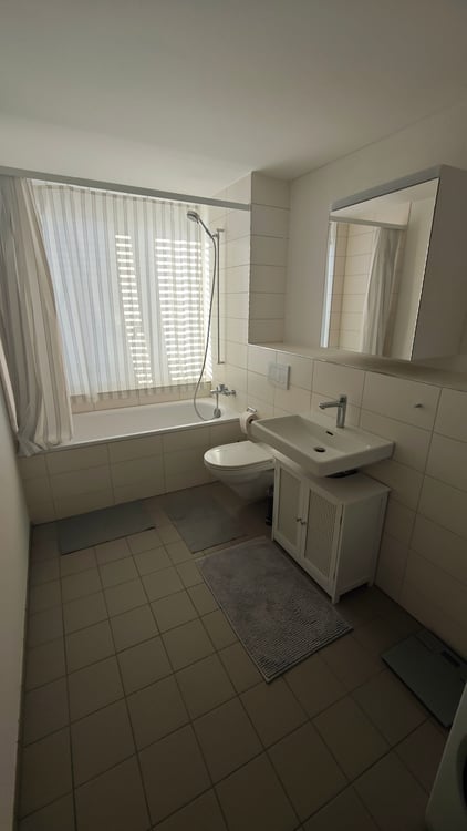 1½ ZI-WOHNUNG IN EMMENBRÜCKE (LU), MÖBLIERT, TEMPORÄR 7