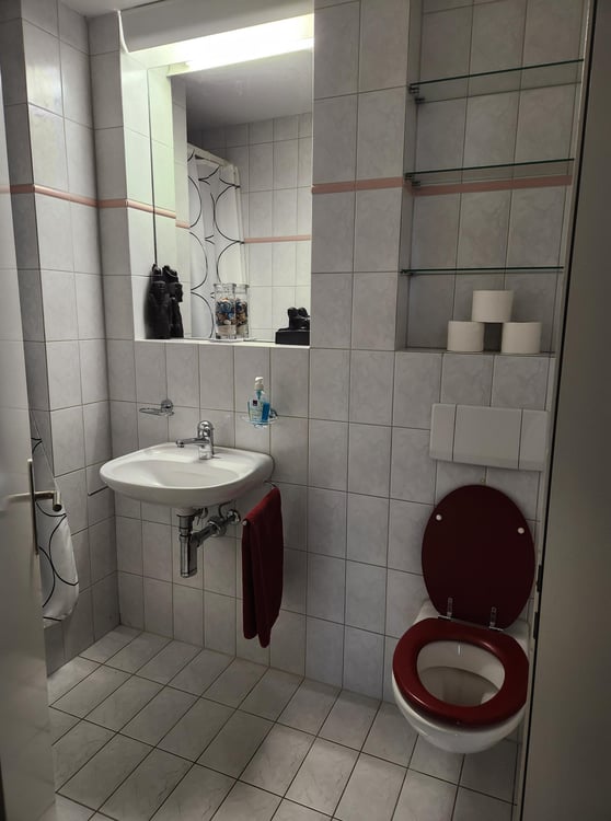 1½ ZI-WOHNUNG IN KÜSSNACHT AM RIGI (SZ), MÖBLIERT, TEMPORÄR 6