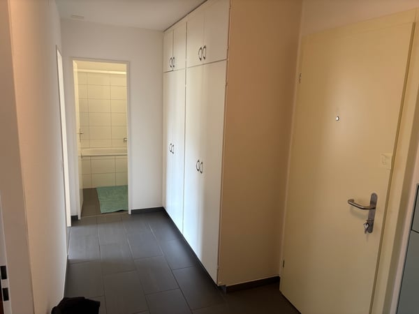 1½ ZI-WOHNUNG IN WÄDENSWIL (ZH), MÖBLIERT, TEMPORÄR 9