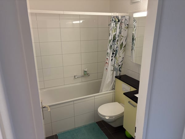 1½ ZI-WOHNUNG IN WÄDENSWIL (ZH), MÖBLIERT, TEMPORÄR 8