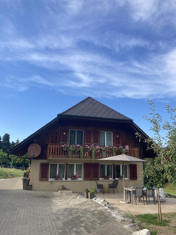 3½ ZI-WOHNUNG IN MIRCHEL (BE), MÖBLIERT, TEMPORÄR 1