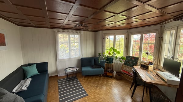 3½ ZI-WOHNUNG IN BALLWIL (LU), MÖBLIERT, TEMPORÄR 8