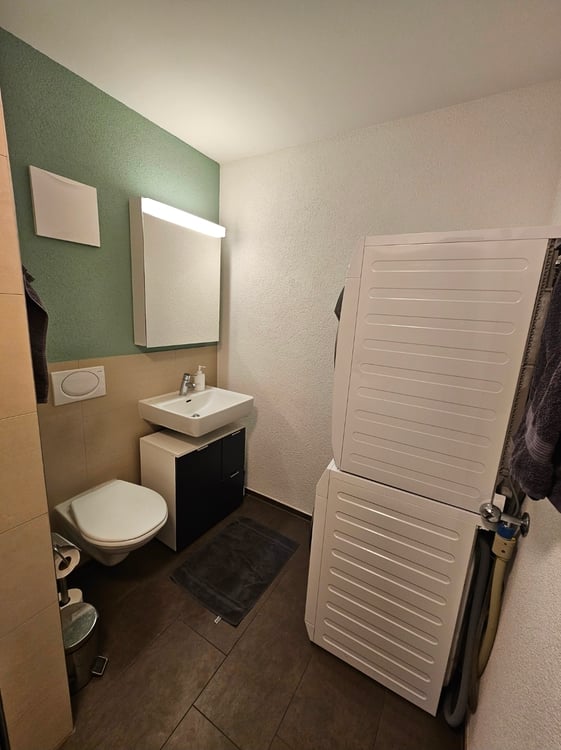 2½ ZI-WOHNUNG IN FRAUENFELD (TG), MÖBLIERT, TEMPORÄR 4