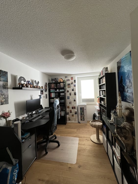 3½ ZI-WOHNUNG IN NATERS (VS), MÖBLIERT, TEMPORÄR 4