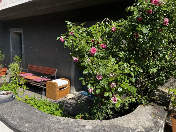 2½ ZI-WOHNUNG IN BERN - ALTENBERG, MÖBLIERT, TEMPORÄR 12