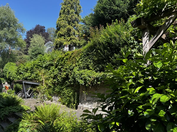 2½ ZI-WOHNUNG IN BERN - ALTENBERG, MÖBLIERT, TEMPORÄR 11