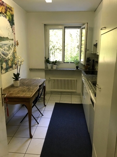 2½ ZI-WOHNUNG IN ZÜRICH - KREIS 11 AFFOLTERN, MÖBLIERT, TEMPORÄR 4